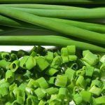 Beneficios de cultivar cebollino en tu huerto urbano