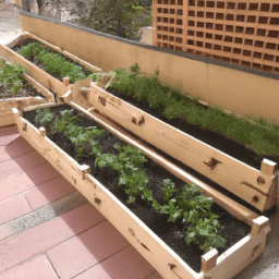 ¿Qué es lo mejor para plantar en un huerto urbano?
