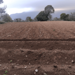 ¿Cómo se prepara la tierra para la siembra?
