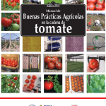 aumentar-calcio-en-tomates-guia-paso-a-paso