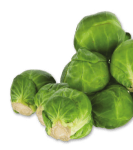 Cultivo de Col de Bruselas (Brassica oleracea var